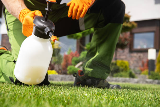 Best Mosquito Control Services  in Roland, OK