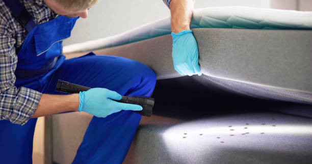 Best Local Pest Control Services  in Roland, OK