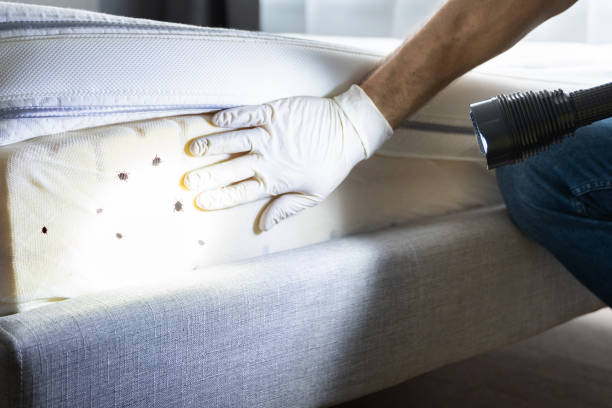 Reliable Roland, OK Pest Control Solutions