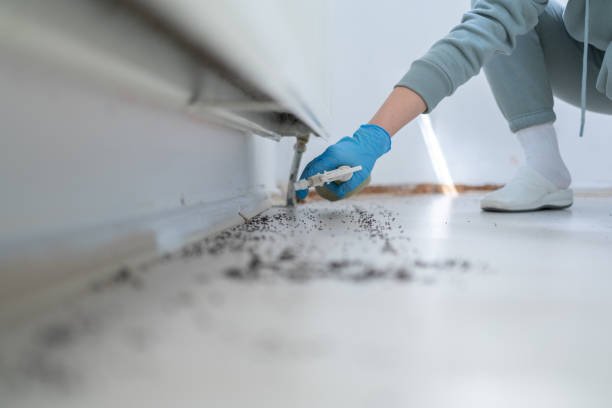 Best Commercial Pest Control Services  in Roland, OK