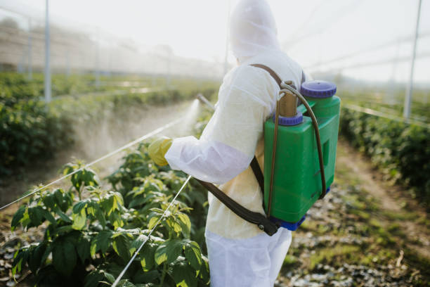 Best Best Pest Control Companies  in Roland, OK